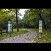 Ścieżka edukacyjna w parku leśnym na Górnym Borze wczesną jesienią – w tle skwer z ławkami i parkingiem dla rowerów 