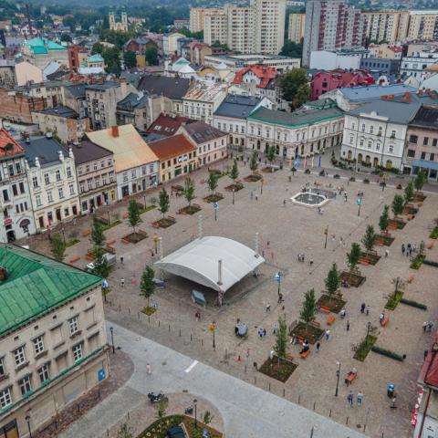 Zdjęcie