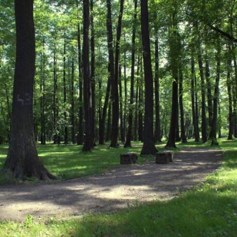 projekt14_14.jpg