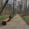Rezerwat „Lasek Miejski nad Olzą”. Na pierwszym planie drewniana podwieszana ścieżka, biegnąca zakrzywieniami pośród gęsto rosnących drzew, we wczesno wiosennej aurze. Pomiędzy koronami drzew przebija niebo pokryte chmurami. Na ścieżce po lewej stronie widoczne są dwie ławy, pośrodku nich kosz na śmieci, wykonane z połączenia metalu i drewna.