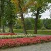 Zrewitalizowany park z alejkami spacerowymi, kolorowymi rabatami kwiatowymi oraz starymi drzewami tworzącymi zacienioną przestrzeń wypoczynkową. W tle widoczna jest zieleń naturalna, podkreślająca harmonijne połączenie przyrody i uporządkowanej przestrzeni rekreacyjnej.