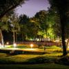 Zdjęcie ukazuje teren zrewitalizowny nocą z alejką pośrodku, którą oświetlają lampy. Po obu stronach chodnika stoją drzewa, a ich liście i gałęzie są podświetlone ciepłym światłem, co tworzy efekt przytulnej i spokojnej atmosfery. Po lewej stronie widać mały strumień wody, który odbija światło, a po prawej są ławki i kosze na śmieci. Całość ma trochę magiczny, spokojny klimat idealny na wieczorny spacer lub odpoczynek