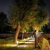 To zdjęcie przedstawia nocny widok terenu zrewitalizowanego, gdzie centralnym elementem są oświetlone drzewa, które rzucają ciepłe światło na otoczenie. Widać drewniane ławki oraz chodnik oraz alejkę prowadzącą wzdłuż terenu. Po prawej stronie ciągnie się niska barierka, a w tle są zarysy innych drzew. Całość ma spokojny, nocny nastrój, z wyraźnym kontrastem światła i cienia, co tworzy klimatyczną atmosferę. 
