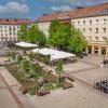 W oddali budynek mieszkalny z dużą liczbą okien, przed nim drzewa, ogródki gastronomiczne, ławki i zielone kompozycje roślin w centralnym miejscu.
