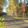 Asfaltowa velostrada biegnąca przez zalesiony teren w jesiennej scenerii. Po obu stronach drogi rosną drzewa z żółtymi i brązowymi liśćmi, a wzdłuż trasy posadzone są młode drzewa zabezpieczone podporami. Po prawej stronie znajduje się metalowa barierka. Na jezdni widoczne są białe linie rozdzielające pasy ruchu. Zdjęcie wykonano w słoneczny dzień.