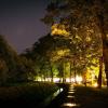 To zdjęcie ukazuje teren nocą. Po prawej stronie widoczne są drzewa oświetlone ciepłym, żółtym światłem lamp parkowych, które tworzą przyjemną, tajemniczą atmosferę. Po lewej stronie znajduje się ciemniejsza część z gęstszą roślinnością. Przez środek parku przepływa wąski strumień wody, który odbija światło i dodaje uroku temu miejscu. W tle widoczne są ławki i kolejne źródła światła. Całość tworzy nastrój spokoju i wyciszenia.
