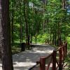Park Miejski w Siewierzu. fot. mat. organizatora