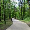 Park Miejski w Siewierzu. fot. mat. organizatora