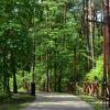 Park Miejski w Siewierzu. fot. mat. organizatora